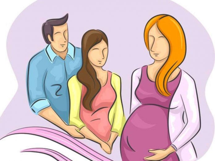 plan for Surrogacy