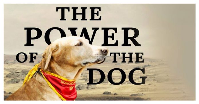 Power-of-the-Dog