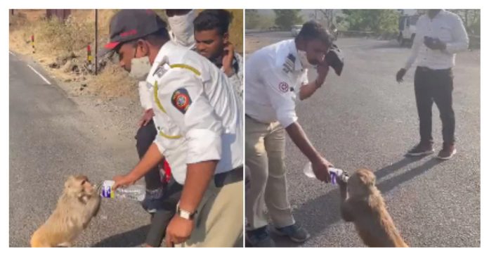 Maharashtra traffic police officer offers water